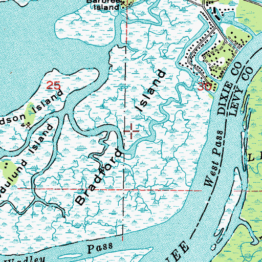 Topographic Map of Bradford Island, FL