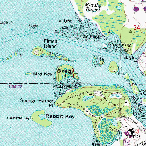 Topographic Map of Brady Island, FL