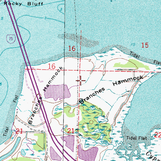 Topographic Map of Branches Hammock, FL