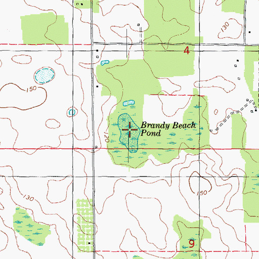 Topographic Map of Brandy Beach Pond, FL