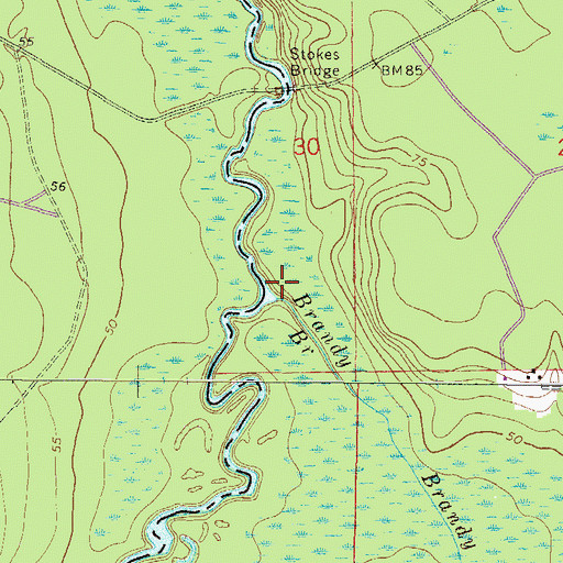 Topographic Map of Brandy Branch, FL