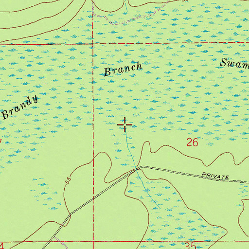 Topographic Map of Brandy Branch Swamp, FL