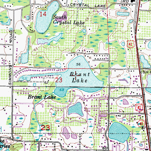 Topographic Map of Brant Lake, FL