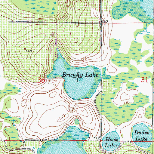 Topographic Map of Brantly Lake, FL