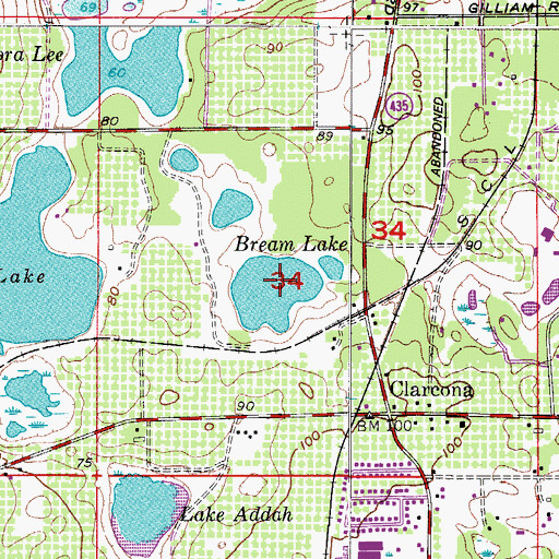 Topographic Map of Bream Lake, FL