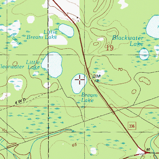 Topographic Map of Bream Lake, FL