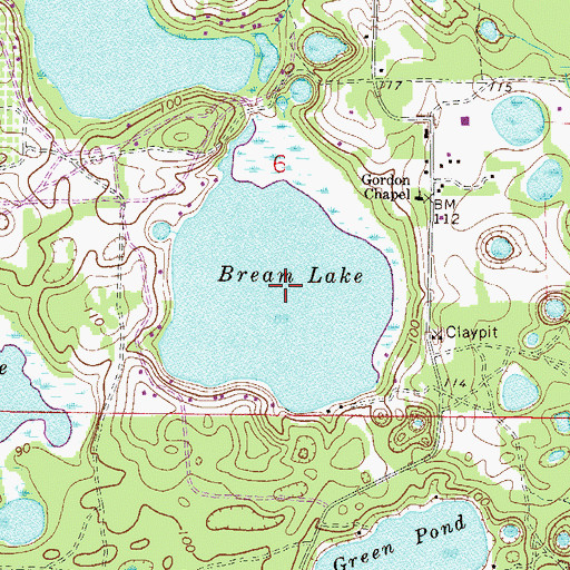 Topographic Map of Bream Lake, FL
