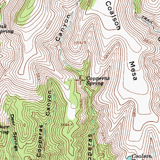 Topographic Map of Copperas Spring, AZ