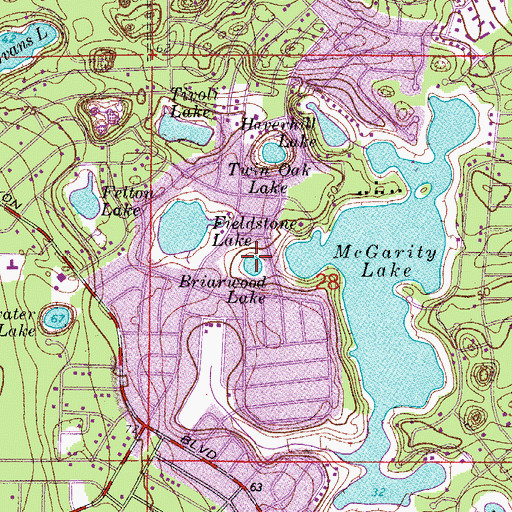 Topographic Map of Briarwood Lake, FL