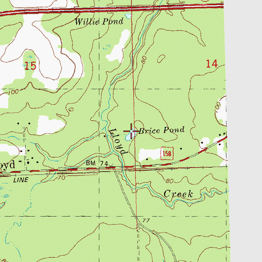 Topographic Map of Brice Pond, FL
