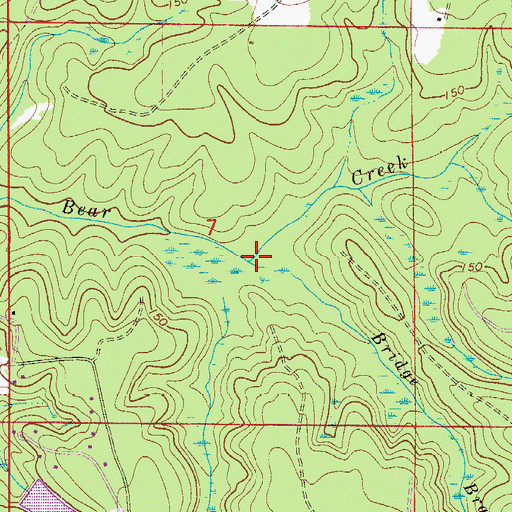Topographic Map of Bridge Branch, FL