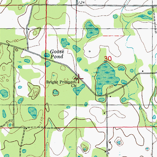 Topographic Map of Bright Prospect Church, FL