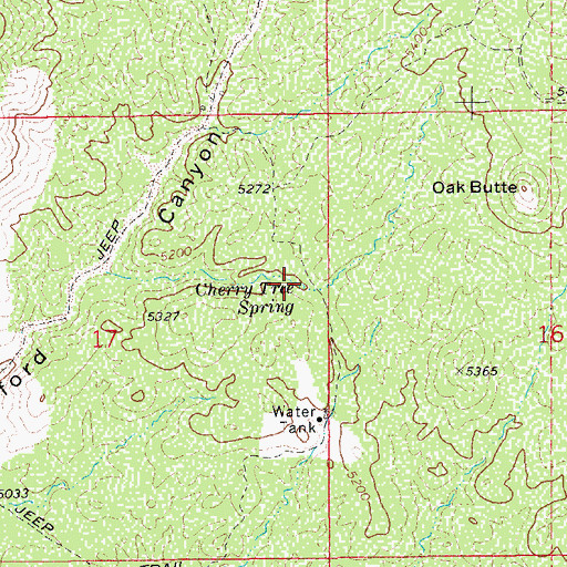 Topographic Map of Cherry Tree Spring, AZ