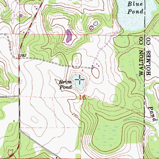 Topographic Map of Brim Pond, FL
