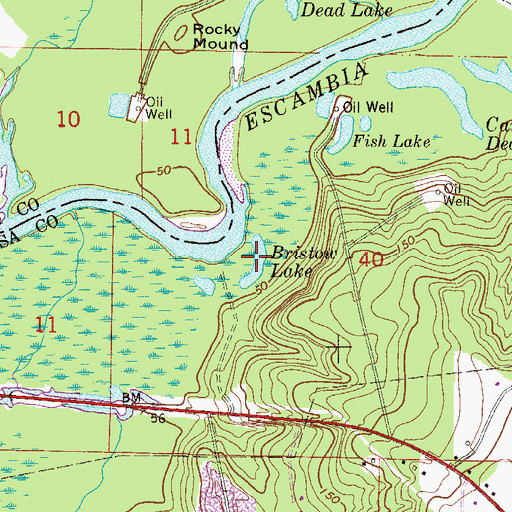 Topographic Map of Bristow Lake, FL