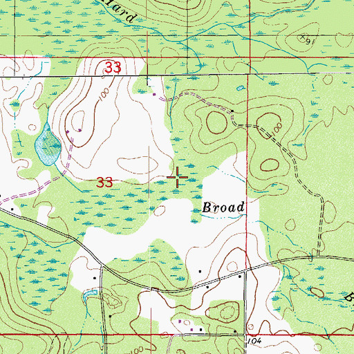 Topographic Map of Broad Branch, FL