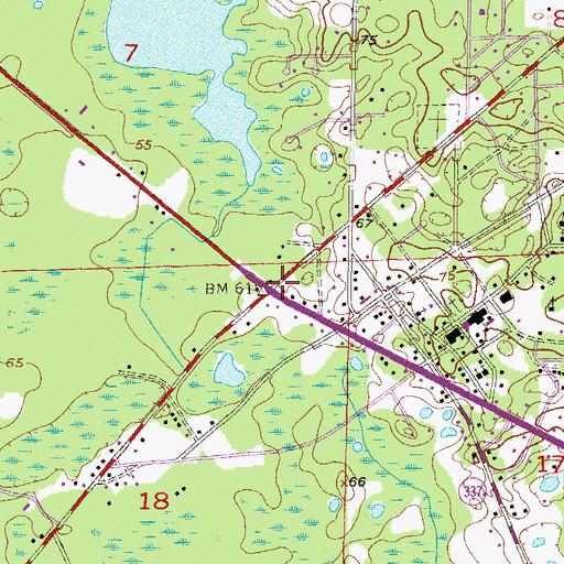 Topographic Map of Bronson, FL