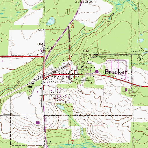 Topographic Map of Brooker, FL