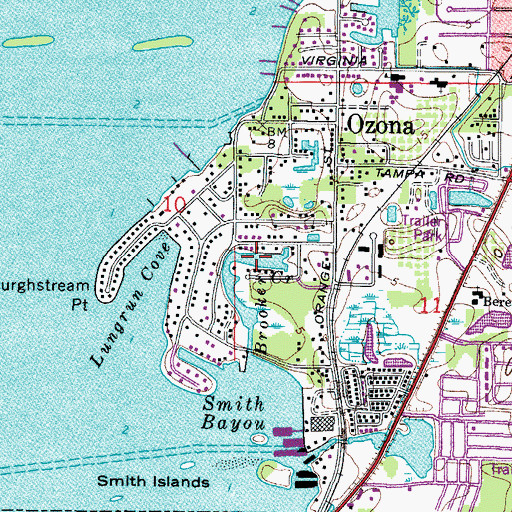 Topographic Map of Brooker Creek, FL