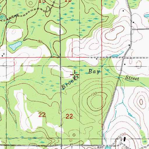 Topographic Map of Brooks Bay, FL