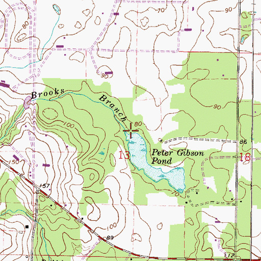 Topographic Map of Brooks Branch, FL