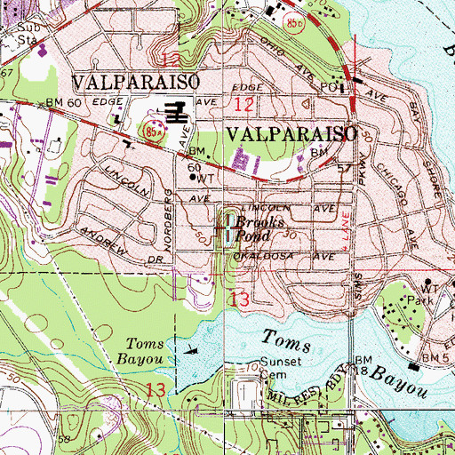 Topographic Map of Brooks Pond, FL