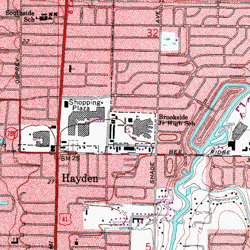 Topographic Map of Brookside Middle School, FL