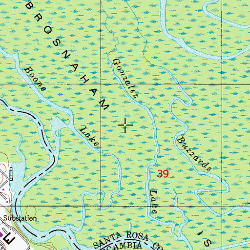 Topographic Map of Brosnaham Island, FL