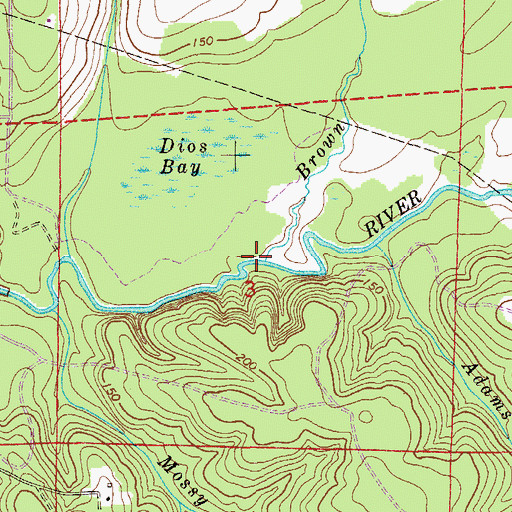 Topographic Map of Brown Branch, FL