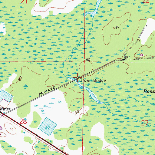 Topographic Map of Brown Bridge, FL