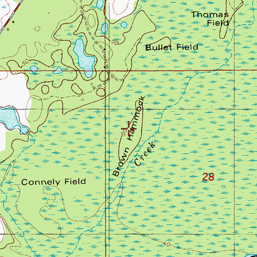 Topographic Map of Brown Hammock, FL