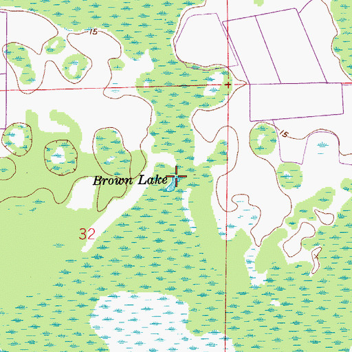 Topographic Map of Brown Lake, FL