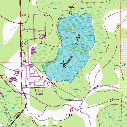 Topographic Map of Brown Lake, FL