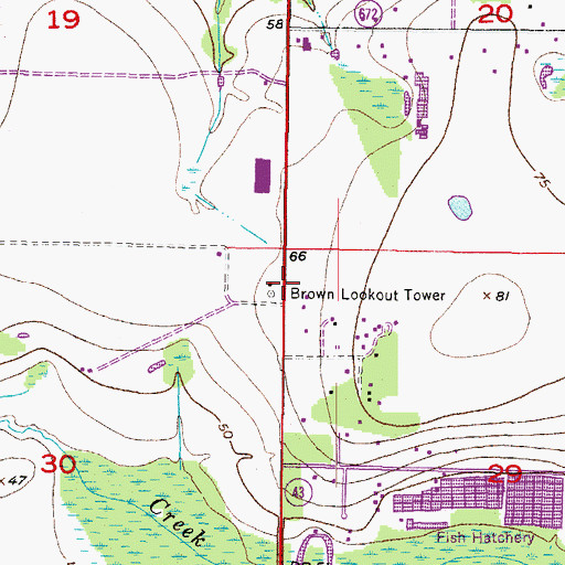 Topographic Map of Brown Lookout Tower, FL