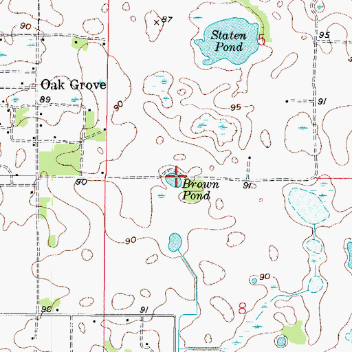 Topographic Map of Brown Pond, FL