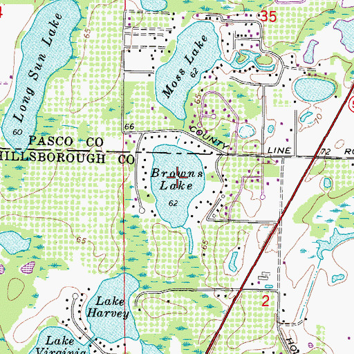 Topographic Map of Browns Lake, FL