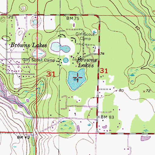 Topographic Map of Browns Lakes, FL