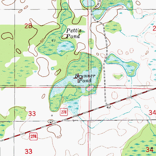 Topographic Map of Brunner Pond, FL