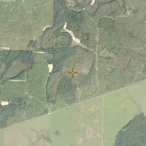 Aerial/Satellite Image of Brunner Pond, FL