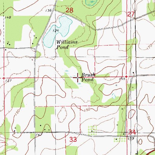 Topographic Map of Brush Pond, FL