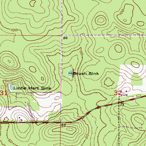 Topographic Map of Brush Sink, FL