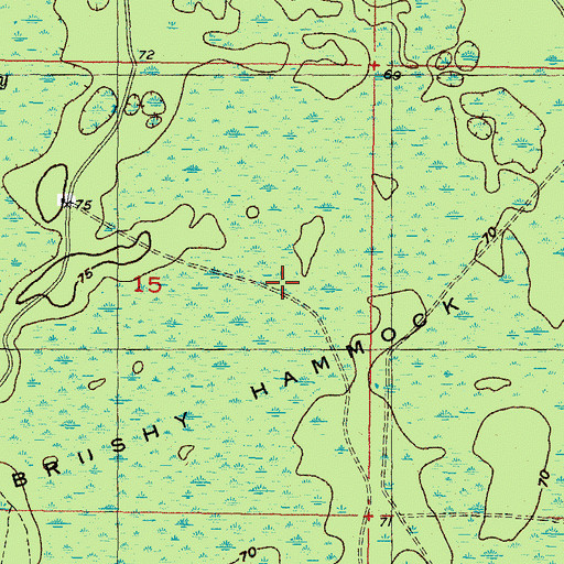 Topographic Map of Brushy Hammock, FL
