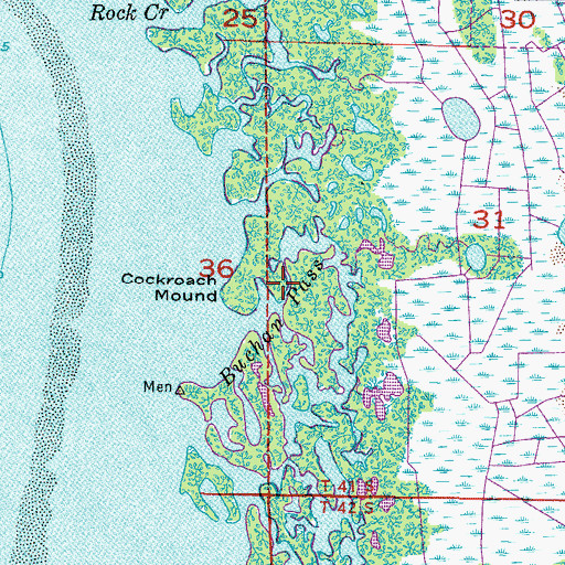 Topographic Map of Buchau Pass, FL
