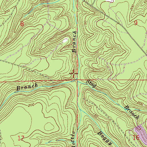 Topographic Map of Buck Branch, FL