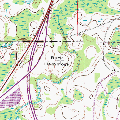 Topographic Map of Buck Hammock, FL