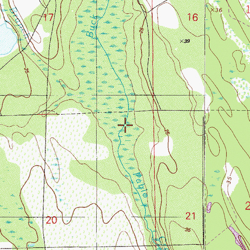 Topographic Map of Buck Head Branch, FL