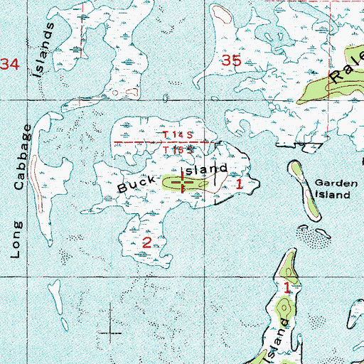 Topographic Map of Buck Island, FL