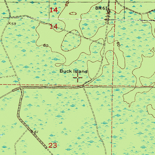 Topographic Map of Buck Island, FL