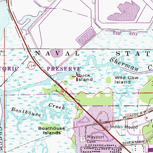 Topographic Map of Buck Island, FL