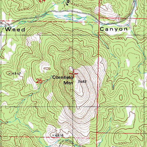 Topographic Map of Cornfield Mountain, AZ